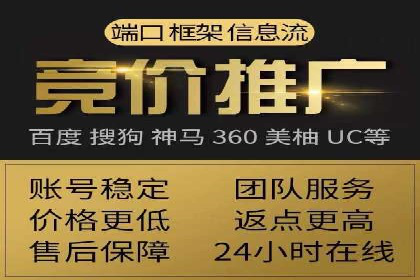 实战技巧：竞价推广案例解析与优化策略